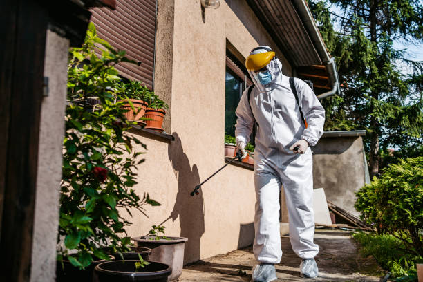 Best Mosquito Control Services  in El Cenizo, TX