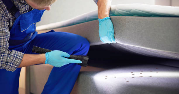 Best Exterminator Services  in El Cenizo, TX