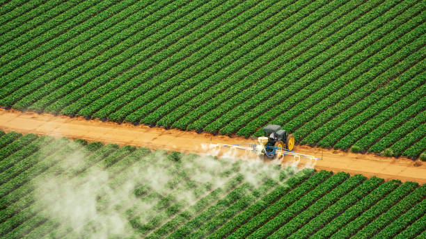 Best Pest Removal Services  in El Cenizo, TX