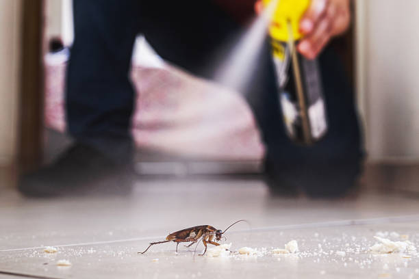 Best Emergency Pest Control  in El Cenizo, TX