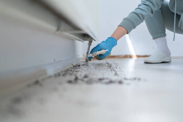 Best Best Pest Control Companies  in El Cenizo, TX
