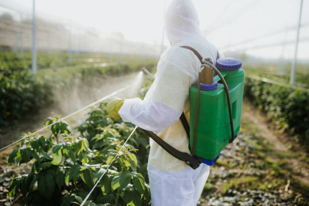 Best Pest Prevention Services  in El Cenizo, TX